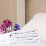 pexels photo 15195270 15195270